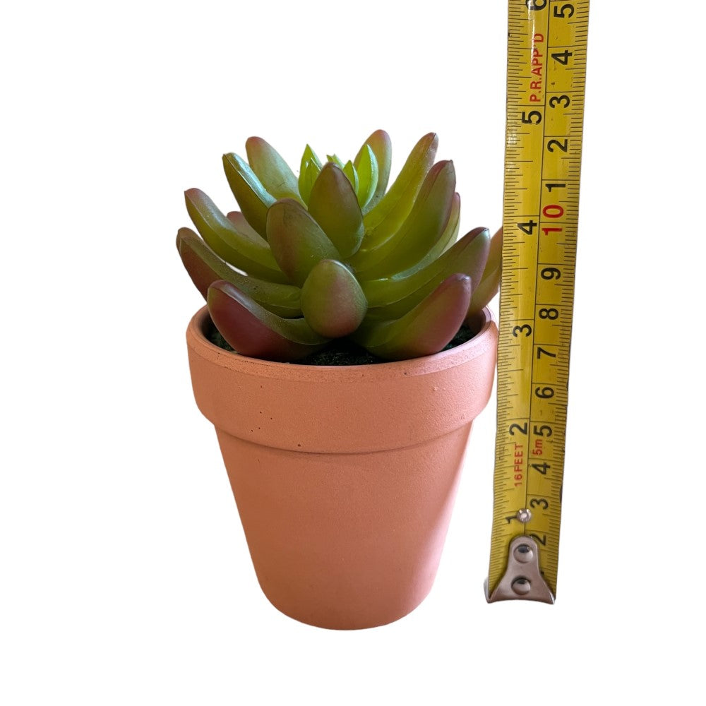 Gorgeous Mini Pot with Artificial Succulent